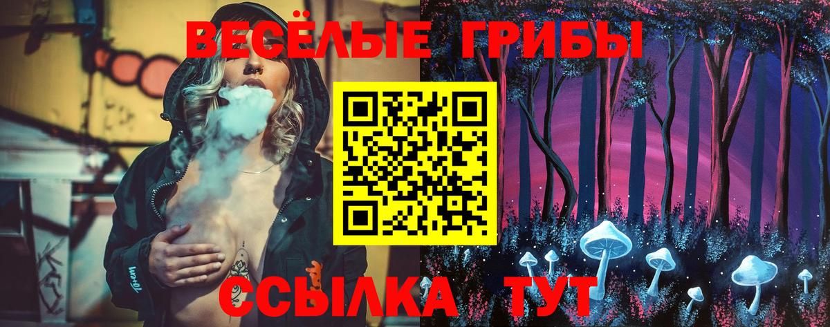 как найти   Вход с VPN  Новошахтинск  Псилоцибиновые грибы прущие грибы 