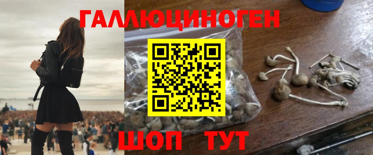 Галлюциногенные грибы ЛСД Новошахтинск
